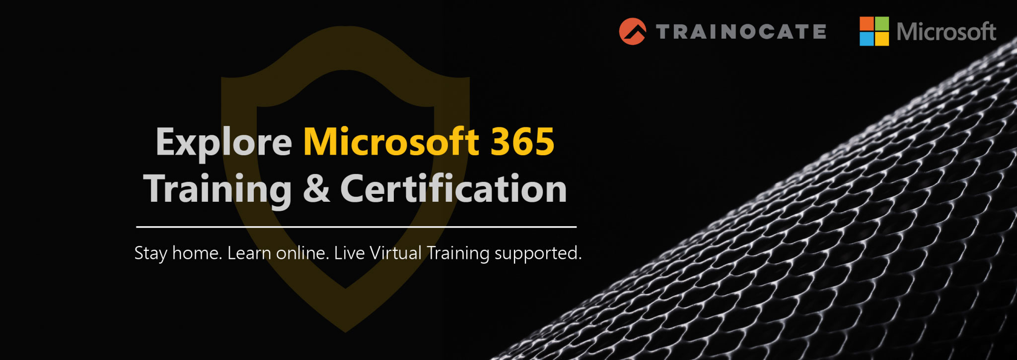 Microsoft 365 Training and Certification
