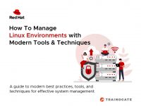 Learn how to build and support a cost-effective and speedy Linux environment in this e-book from Red Hat.