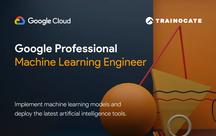 Professional-Machine-Learning-Engineer-01 (2)