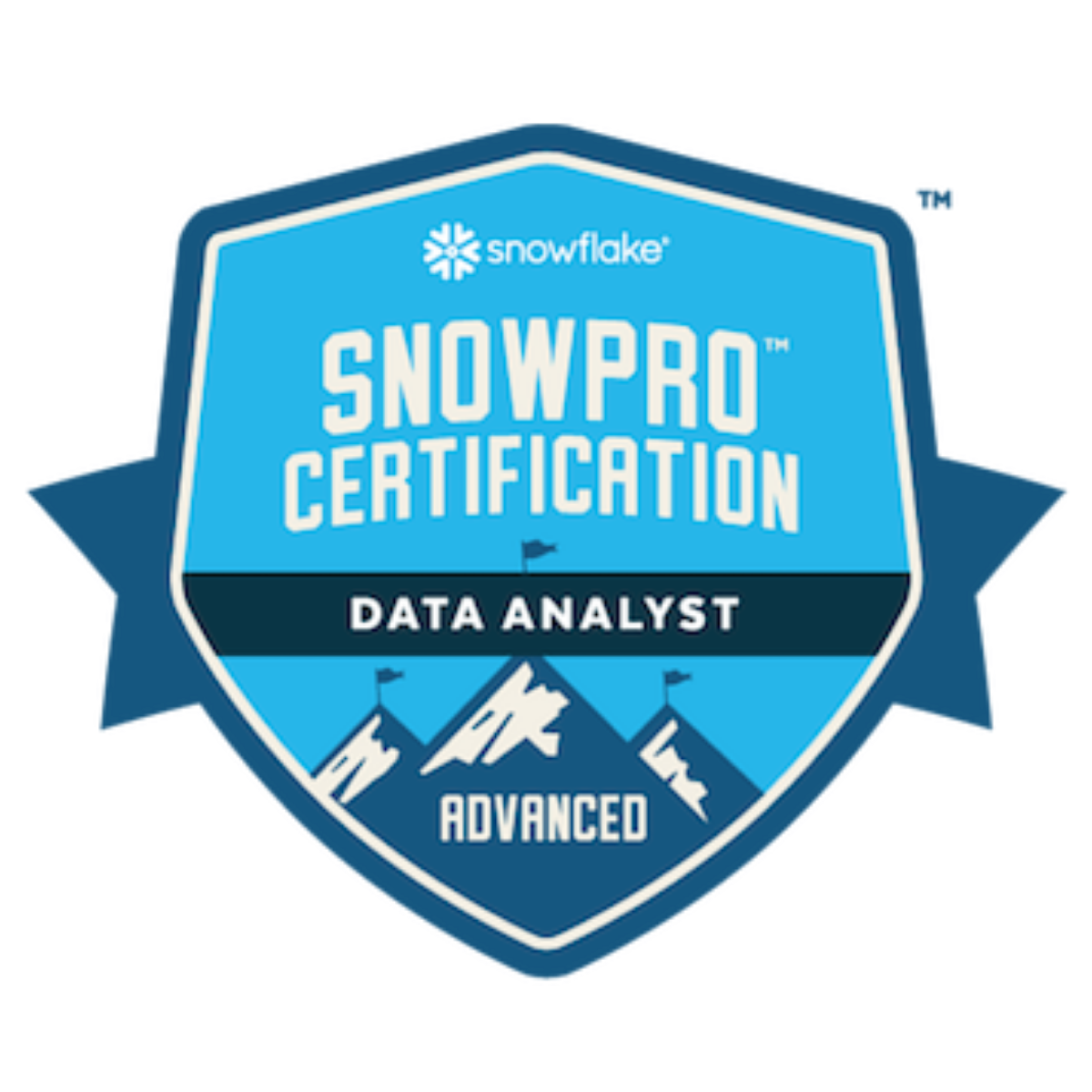 SnowPro Advanced_ Data Analyst
