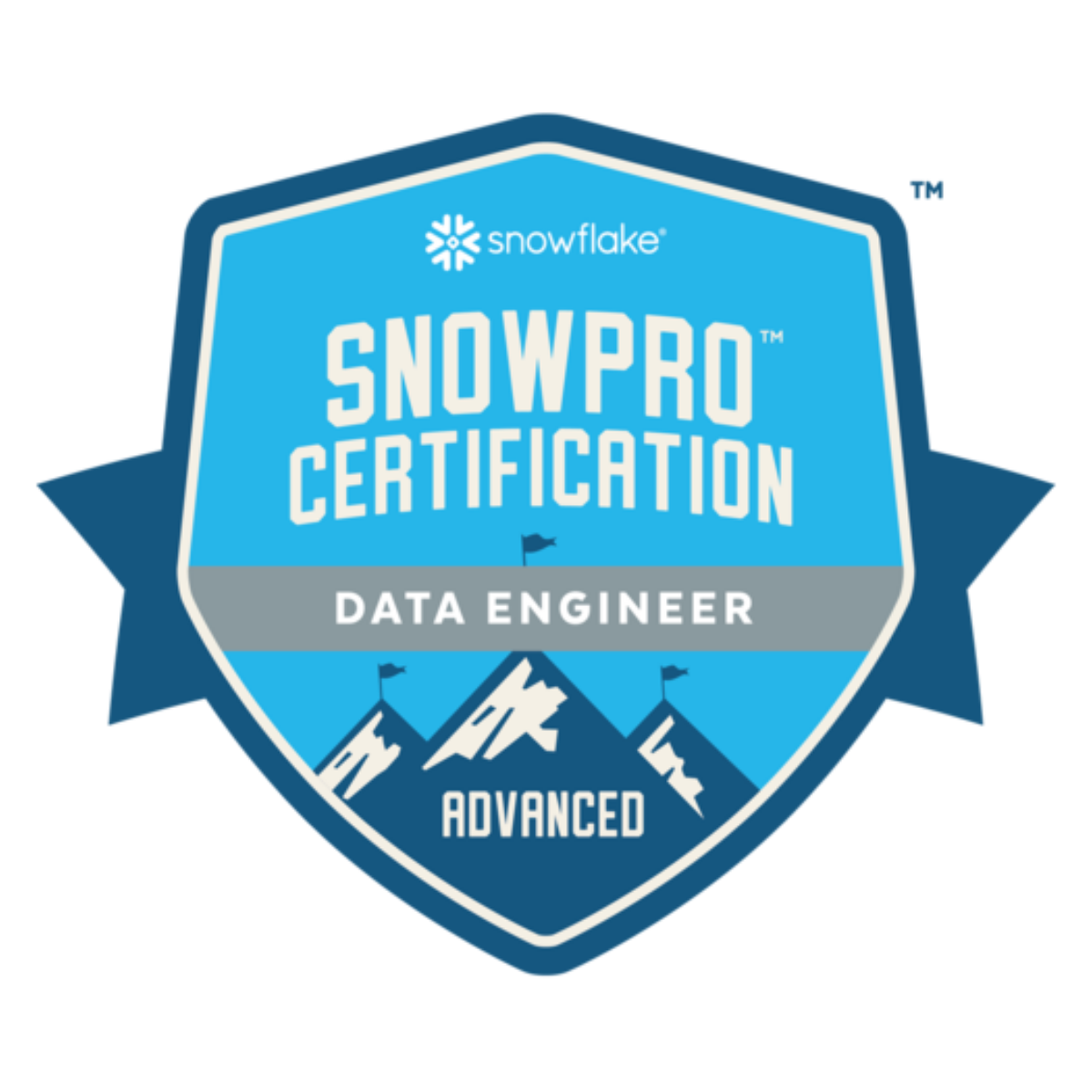 SnowPro Advanced_ Data Engineer
