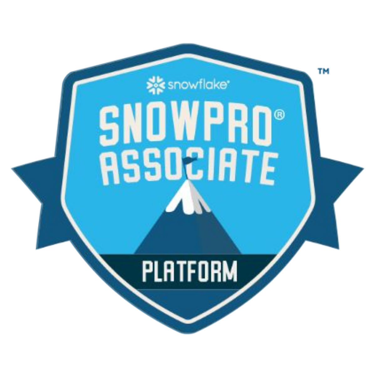 SnowPro Associate_ Platform
