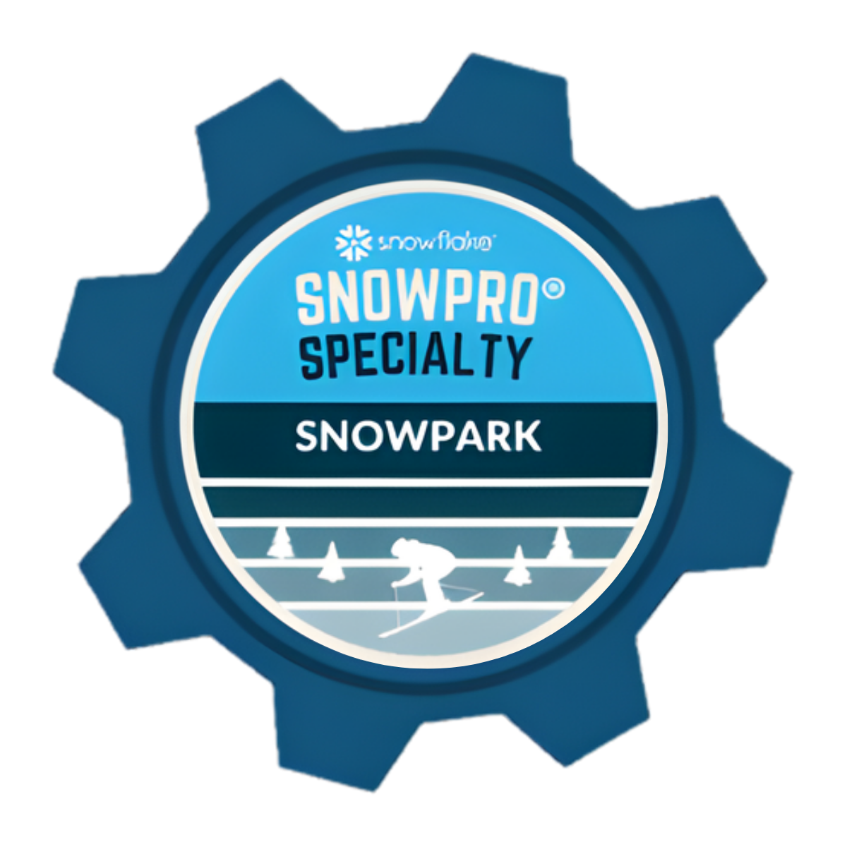 SnowPro Specialty_ Snowpark